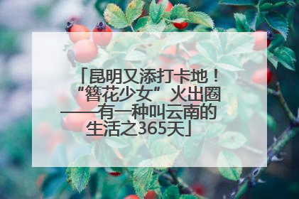 昆明又添打卡地！“簪花少女”火出圈——有一种叫云南的生活之365天
