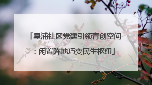 星浦社区党建引领青创空间：闲置阵地巧变民生枢纽