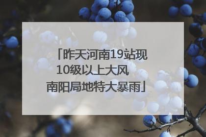 昨天河南19站现10级以上大风  南阳局地特大暴雨