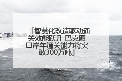 智慧化改造驱动通关效能跃升 巴克图口岸年通关能力将突破300万吨
