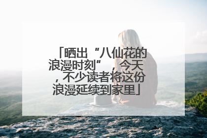 晒出“八仙花的浪漫时刻”，今天，不少读者将这份浪漫延续到家里
