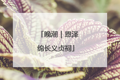 晚潮｜恩泽绵长义贞祠