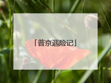 普京遇险记