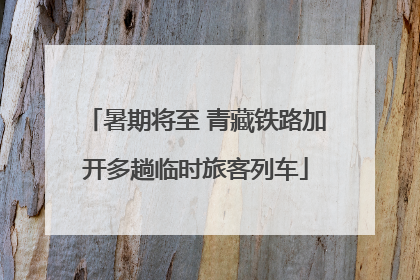 暑期将至 青藏铁路加开多趟临时旅客列车