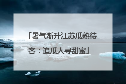 暑气渐升江苏瓜熟待客：追瓜人寻甜蜜
