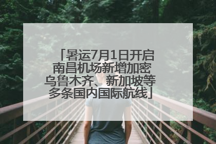 暑运7月1日开启 南昌机场新增加密乌鲁木齐、新加坡等多条国内国际航线