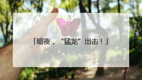 暗夜，“猛龙”出击！