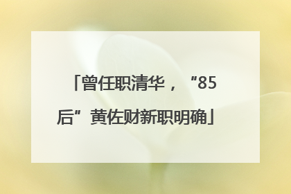 曾任职清华，“85后”黄佐财新职明确