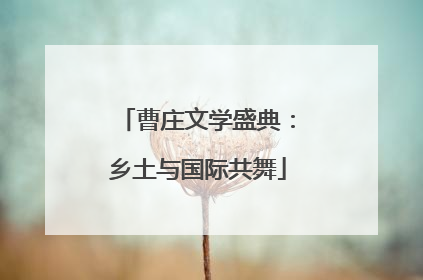 曹庄文学盛典：乡土与国际共舞