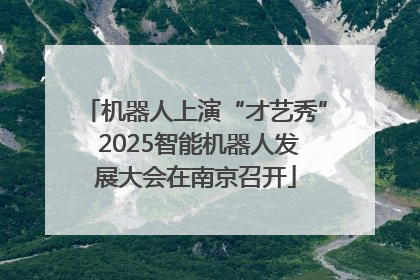 机器人上演“才艺秀” 2025智能机器人发展大会在南京召开