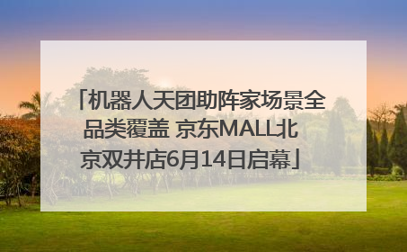 机器人天团助阵家场景全品类覆盖 京东MALL北京双井店6月14日启幕