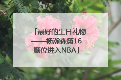 最好的生日礼物——杨瀚森第16顺位进入NBA