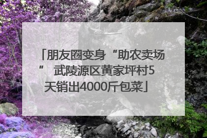 朋友圈变身“助农卖场” 武陵源区黄家坪村5天销出4000斤包菜