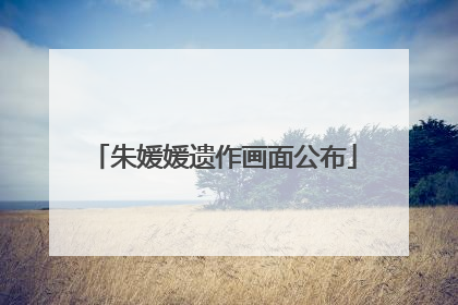 朱媛媛遗作画面公布