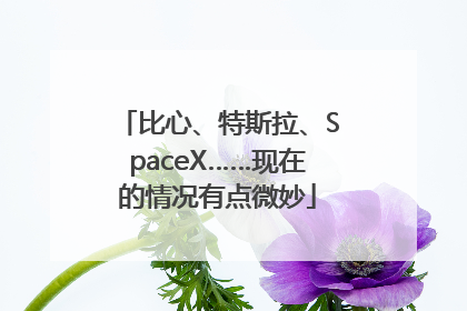 比心、特斯拉、SpaceX……现在的情况有点微妙