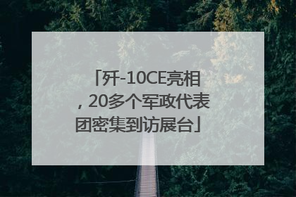 歼-10CE亮相，20多个军政代表团密集到访展台