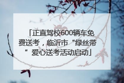 正直驾校600辆车免费送考，临沂市“绿丝带”爱心送考活动启动