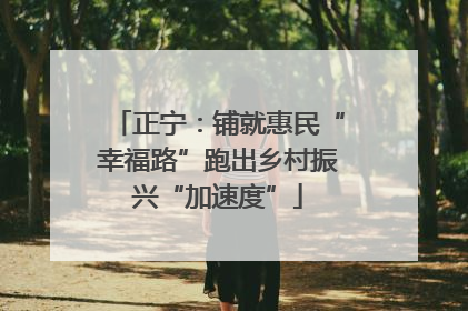 正宁：铺就惠民“幸福路”跑出乡村振兴“加速度”