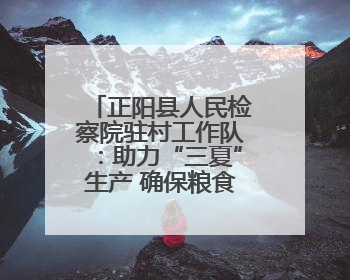 正阳县人民检察院驻村工作队：助力“三夏”生产 确保粮食安全
