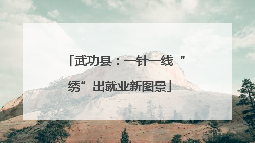 武功县：一针一线“绣”出就业新图景