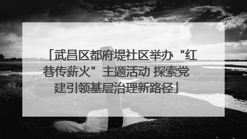 武昌区都府堤社区举办“红巷传薪火”主题活动 探索党建引领基层治理新路径