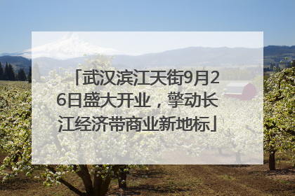 武汉滨江天街9月26日盛大开业，擎动长江经济带商业新地标