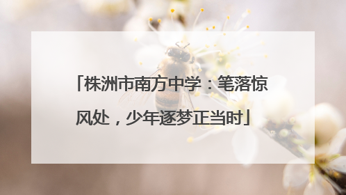 株洲市南方中学：笔落惊风处，少年逐梦正当时