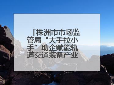 株洲市市场监管局“大手拉小手”助企赋能轨道交通装备产业链质量升级