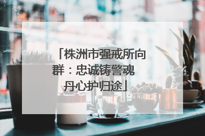 株洲市强戒所向群：忠诚铸警魂 丹心护归途