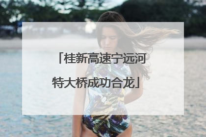 桂新高速宁远河特大桥成功合龙
