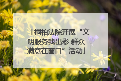 桐柏法院开展“文明服务我出彩 群众满意在窗口”活动