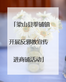 梁山县拳铺镇开展反邪教宣传进商铺活动