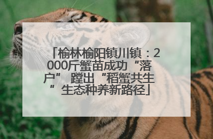榆林榆阳镇川镇：2000斤蟹苗成功“落户” 蹚出“稻蟹共生”生态种养新路径