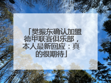 樊振东确认加盟德甲联赛俱乐部，本人最新回应：真的很期待