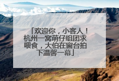 欢迎你，小客人！杭州一窝萌仔组团求喂食，大伯在窗台拍下温馨一幕