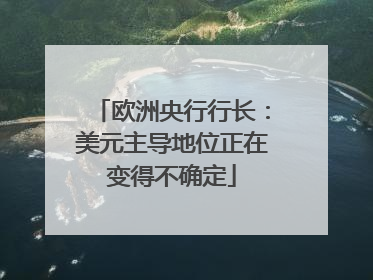 欧洲央行行长：美元主导地位正在变得不确定