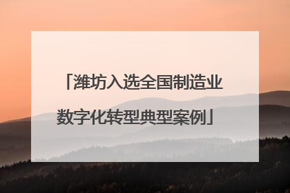 潍坊入选全国制造业数字化转型典型案例