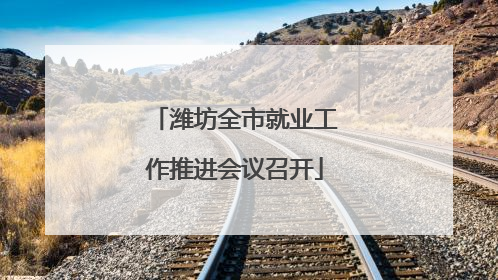 潍坊全市就业工作推进会议召开