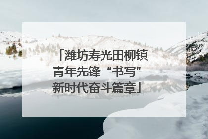 潍坊寿光田柳镇青年先锋“书写”新时代奋斗篇章