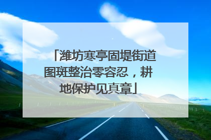 潍坊寒亭固堤街道图斑整治零容忍，耕地保护见真章