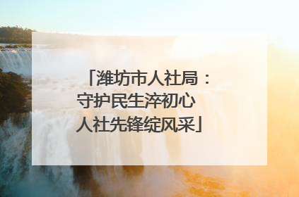 潍坊市人社局：守护民生淬初心 人社先锋绽风采