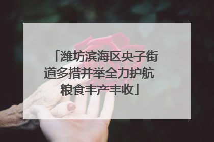 潍坊滨海区央子街道多措并举全力护航粮食丰产丰收