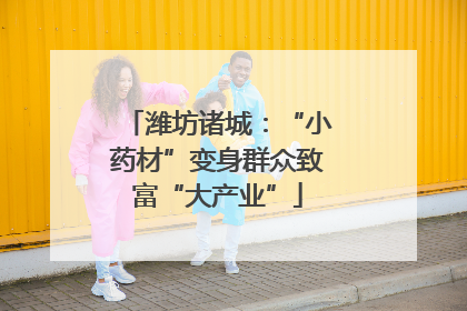 潍坊诸城：“小药材”变身群众致富“大产业”