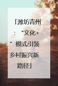 潍坊青州：“文化+”模式引领乡村振兴新路径
