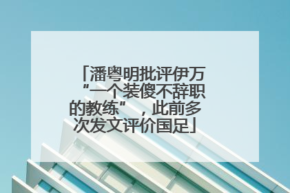 潘粤明批评伊万“一个装傻不辞职的教练”，此前多次发文评价国足