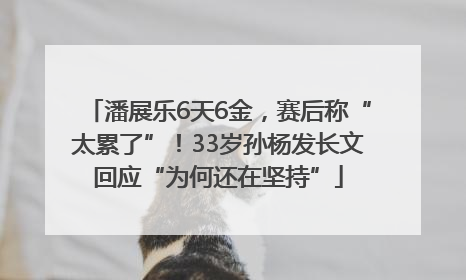 潘展乐6天6金，赛后称“太累了”！33岁孙杨发长文回应“为何还在坚持”