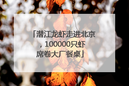 潜江龙虾走进北京，100000只虾席卷大厂餐桌