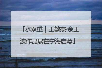 水双重｜王敏杰·余王波作品展在宁海启幕