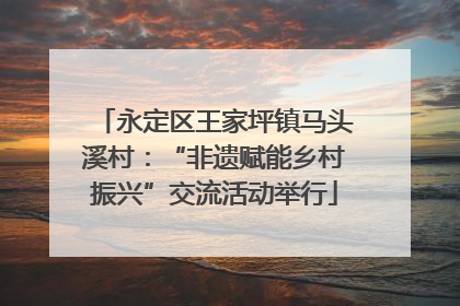 永定区王家坪镇马头溪村：“非遗赋能乡村振兴”交流活动举行