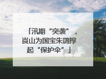 汛期“突袭”，崀山为国宝朱鹮撑起“保护伞”